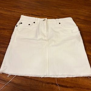 J Crew Skirt